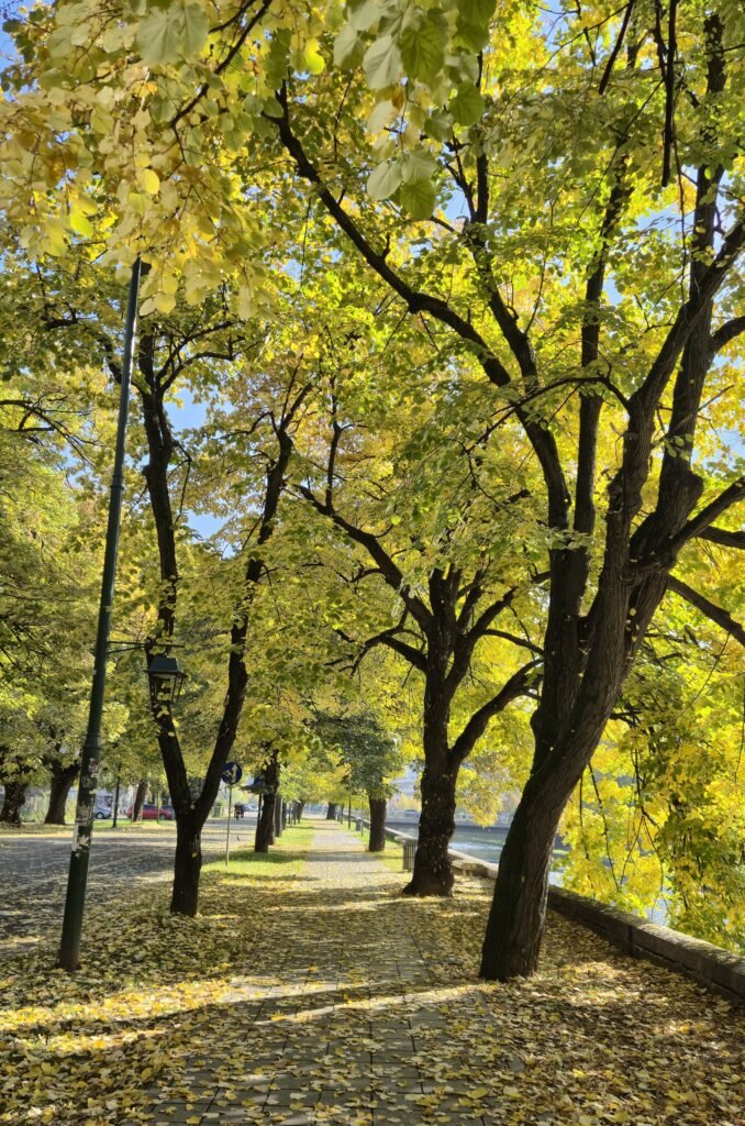 Miljaçka nehir kenarını yürüyüş yolu