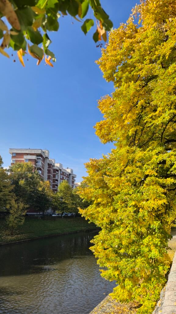 Milyacka Nehri - Saraybosna